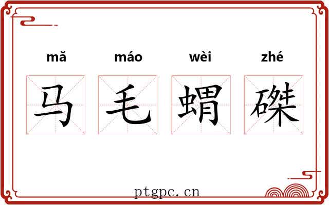 马毛蝟磔 马毛蝟磔