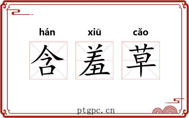 含羞草