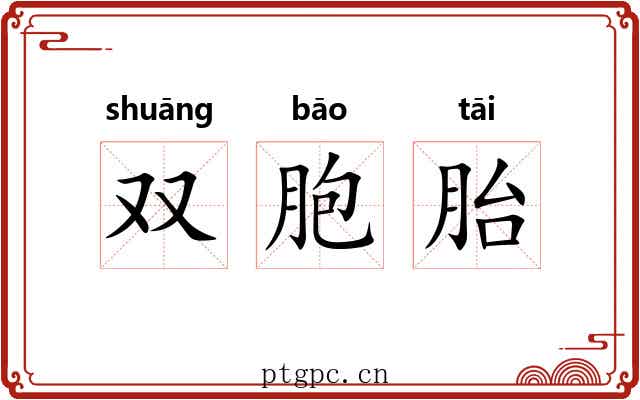 双胞胎 双胞胎