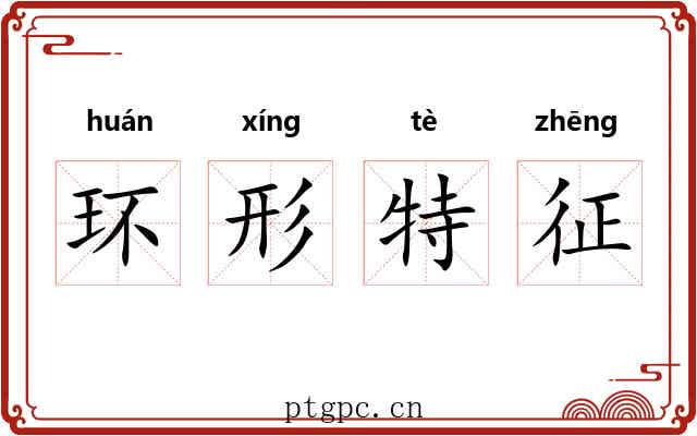 环形特征