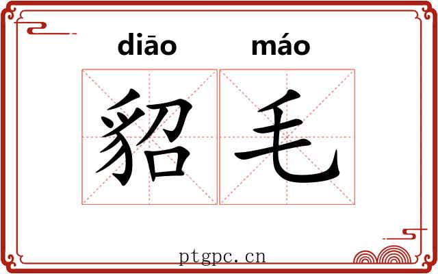 貂毛