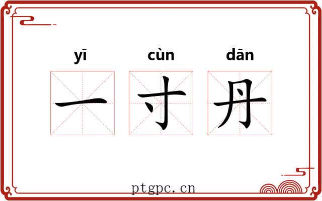 一寸丹