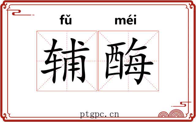 辅酶