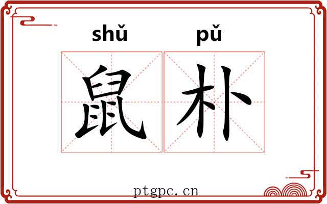 鼠朴