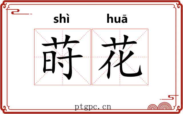 莳花
