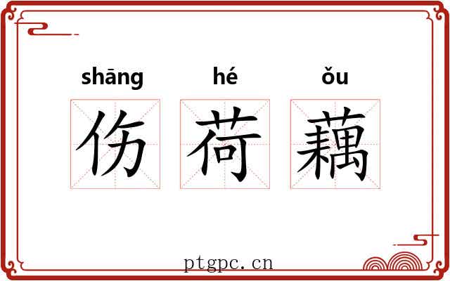 伤荷藕
