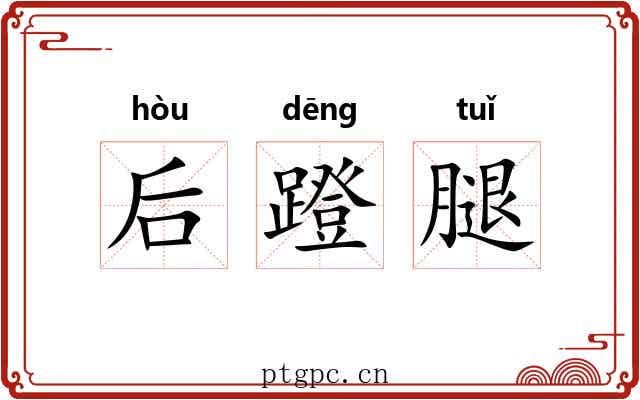 后蹬腿 后蹬腿