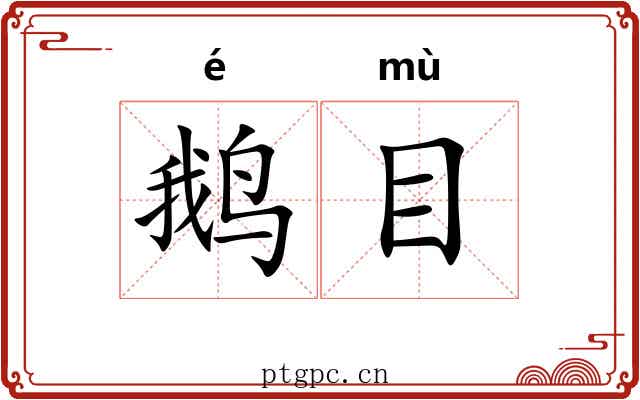 鹅目 鹅目