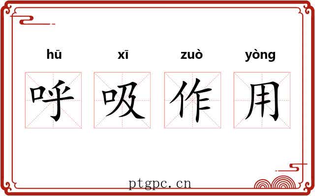 呼吸作用