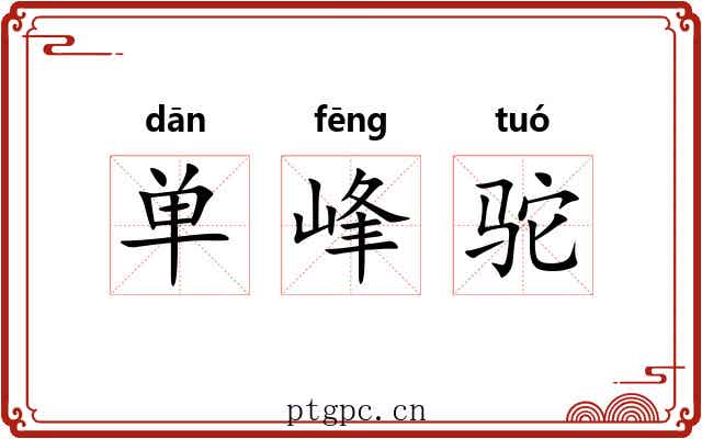 单峰驼