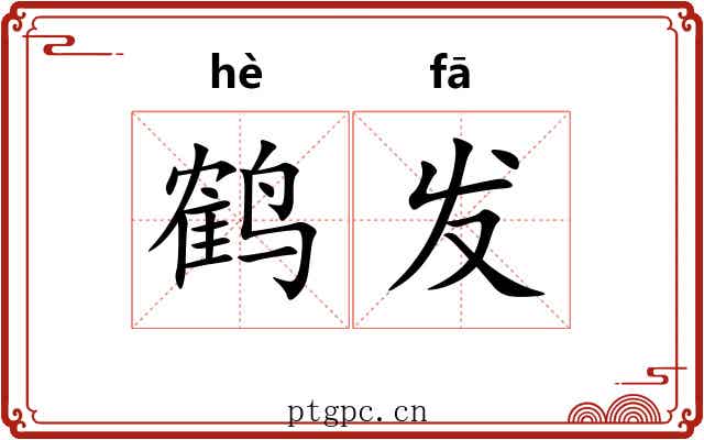 鹤发 鹤发