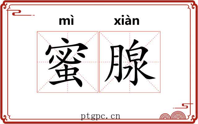 蜜腺