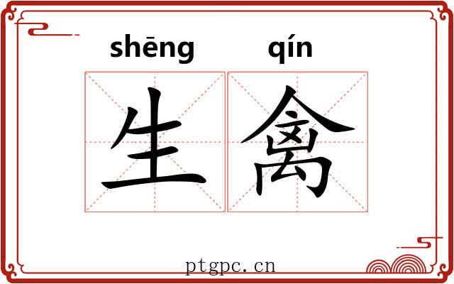 生禽
