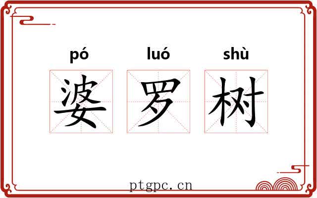 婆罗树 婆罗树