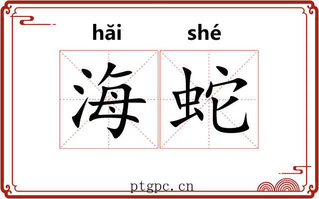 海蛇 海蛇