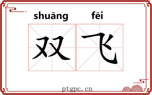 双飞