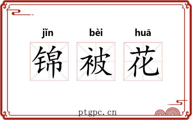锦被花 锦被花