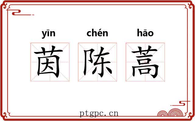 茵陈蒿