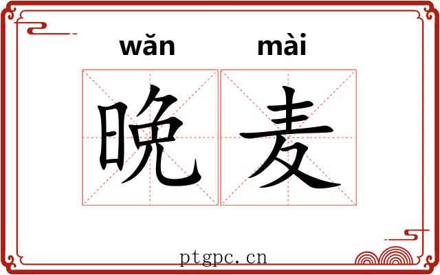 晩麦