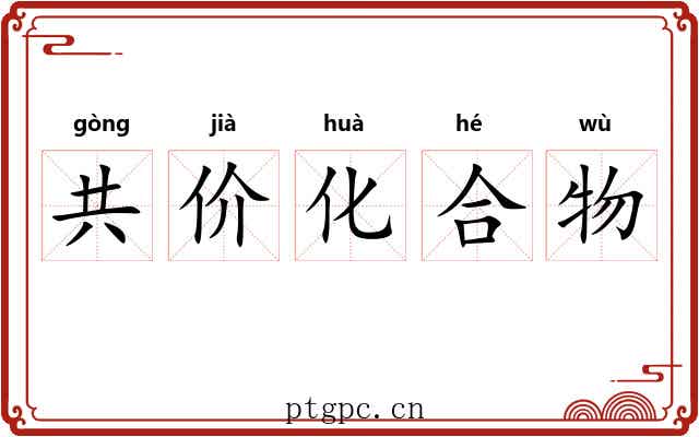共价化合物 共价化合物