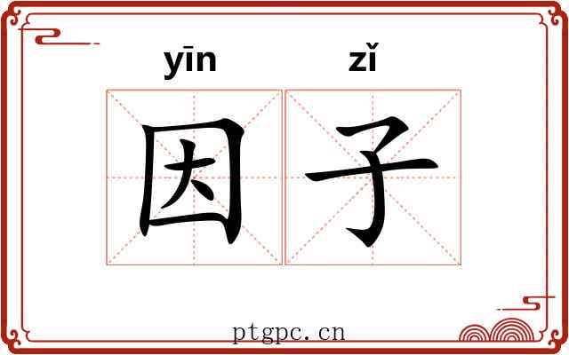 因子 因子