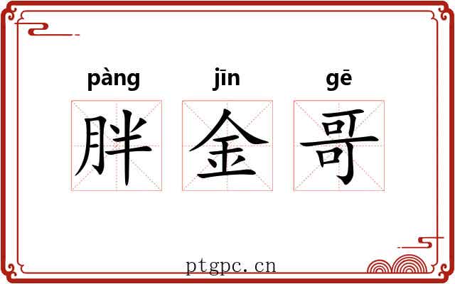 胖金哥