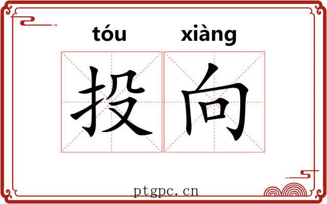 投向 投向