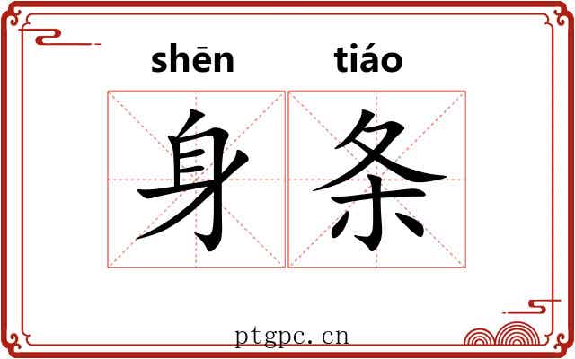 身条
