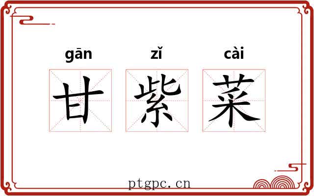 甘紫菜 甘紫菜