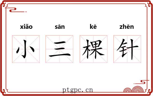 小三棵针