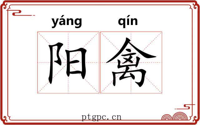 阳禽