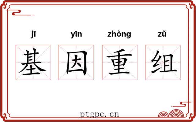 基因重组 基因重组