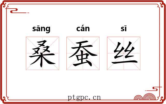 桑蚕丝