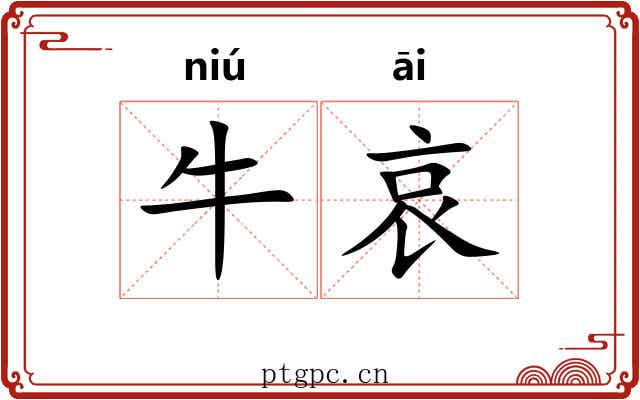 牛哀