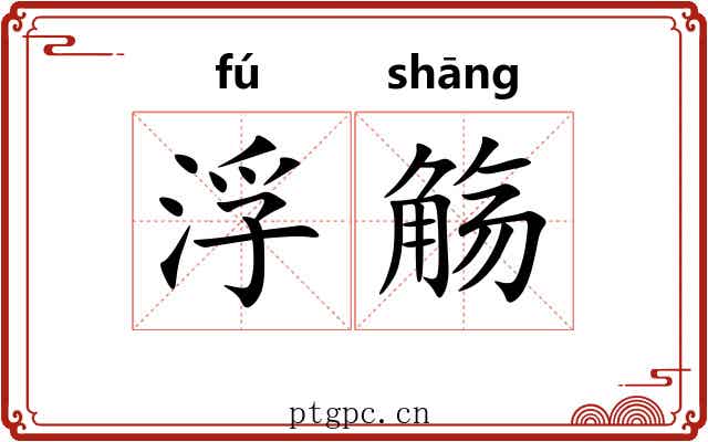 浮觞