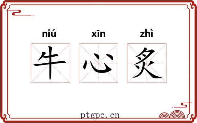 牛心炙 牛心炙