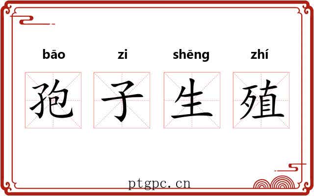 孢子生殖 孢子生殖