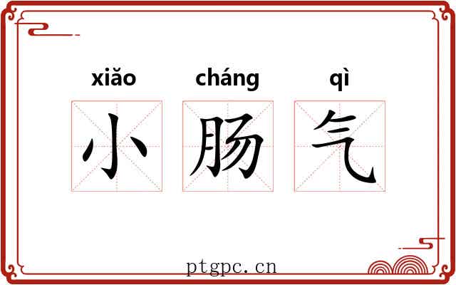 小肠气