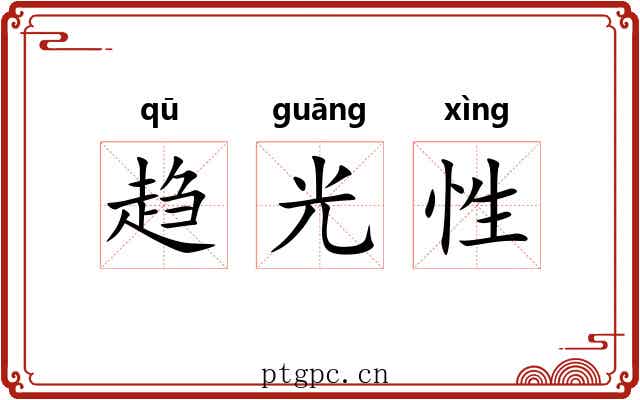 趋光性