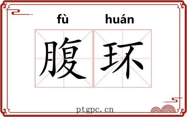 腹环 腹环