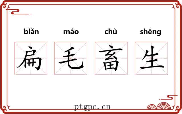 扁毛畜生
