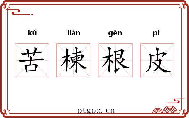 苦楝根皮 苦楝根皮