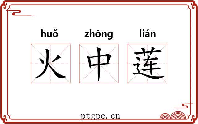 火中莲 火中莲