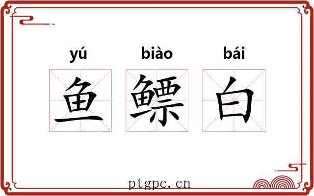 鱼鳔白