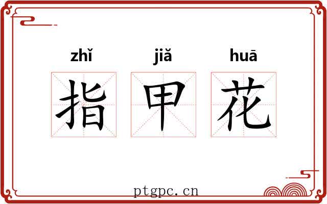 指甲花
