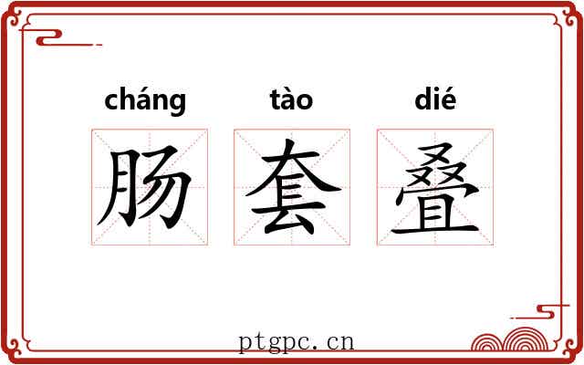 肠套叠 肠套叠