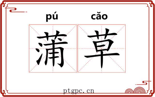 蒲草 蒲草