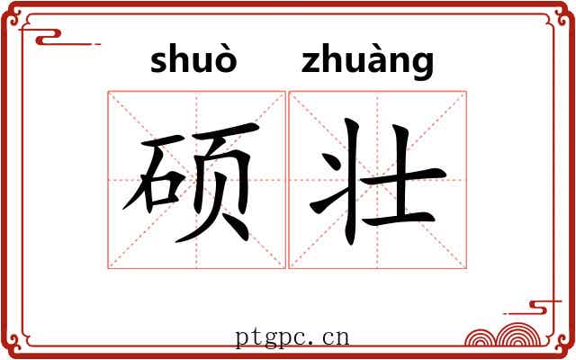硕壮