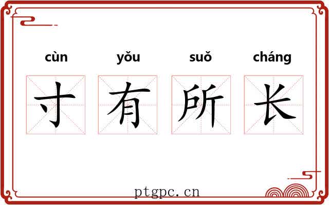 寸有所长 寸有所长