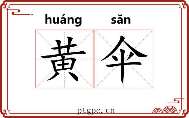黄伞 黄伞